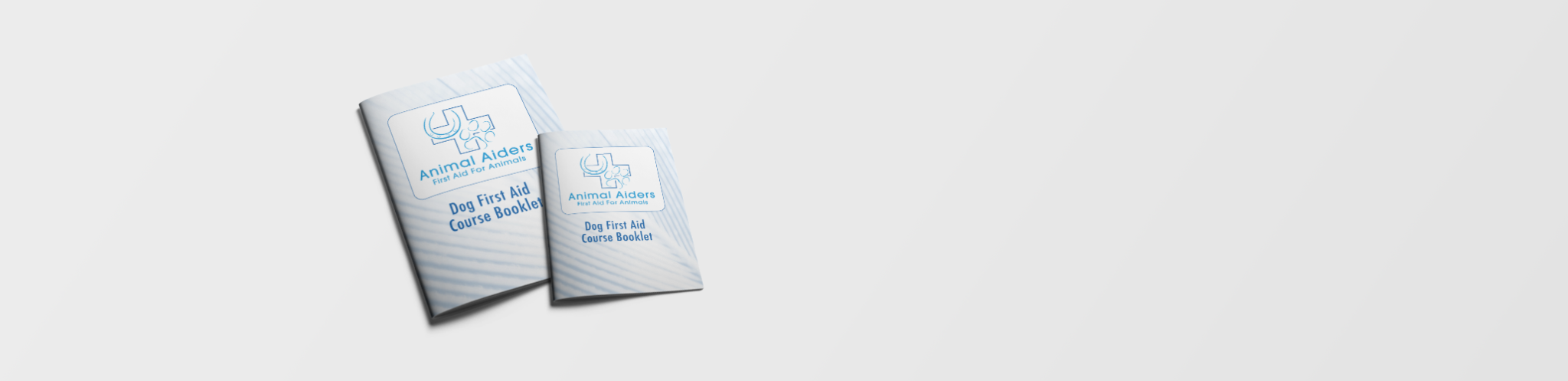 Booklets in Bury St Edmunds, Suffolk
